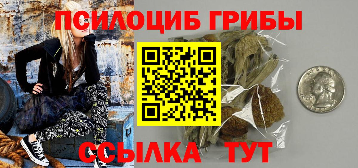 Галлюциногенные грибы Psilocybe Чита